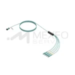 Arnes MPO - Imagen 2